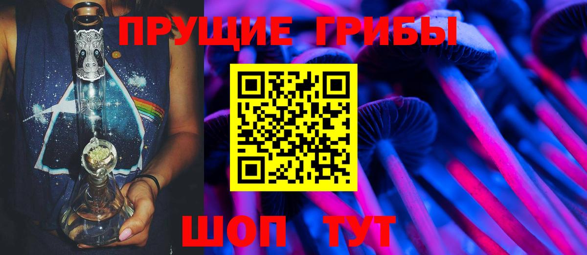 Канаш  Галлюциногенные грибы Psilocybine cubensis  Вход с VPN 