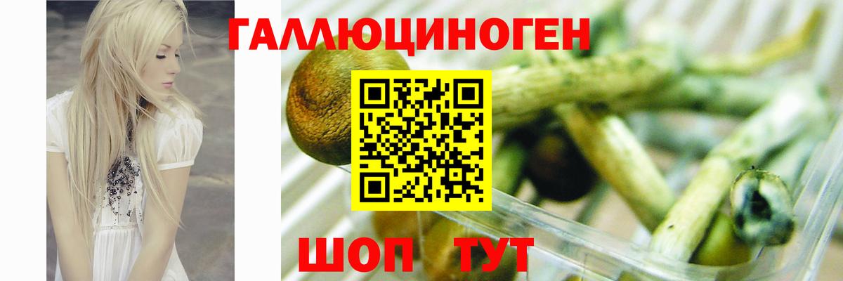 Галлюциногенные грибы Magic Shrooms Канаш